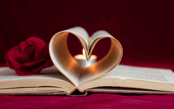 Soulmate Connections Diploma